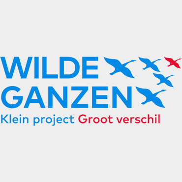 WILDE GANZEN